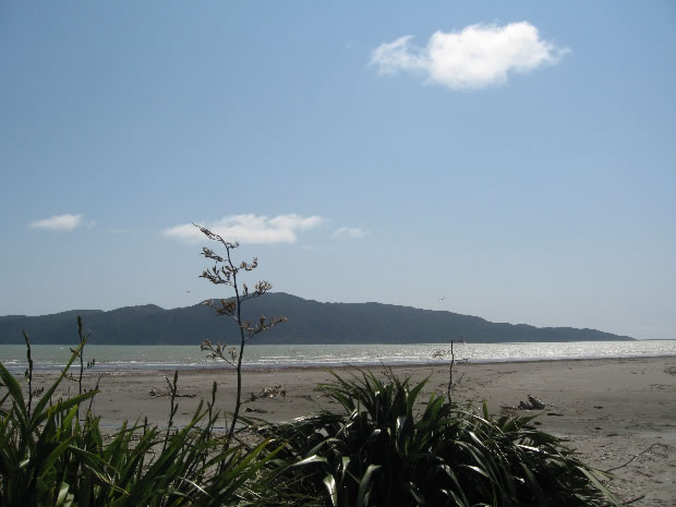 kapiti1