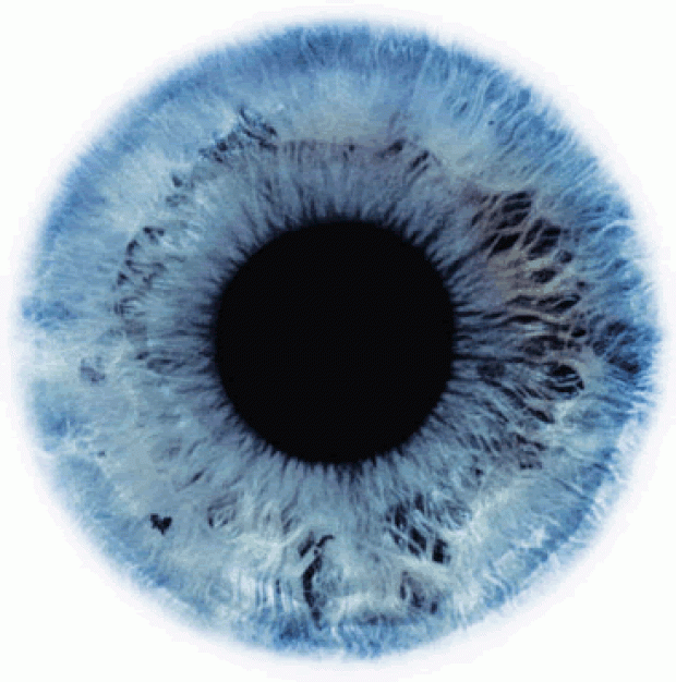 Blue Eye Icon