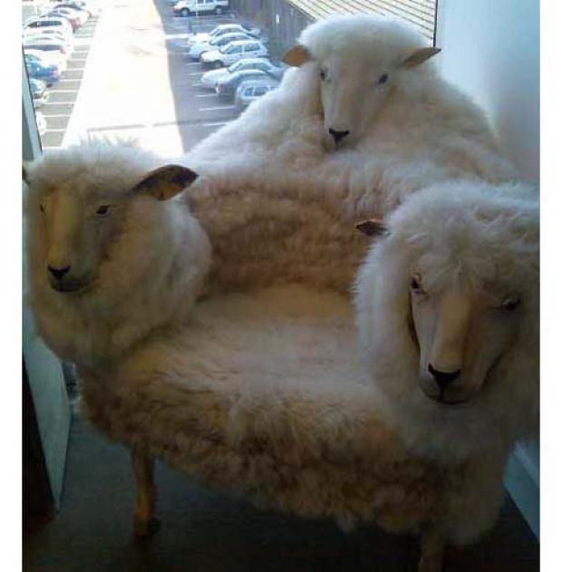 sheepchair