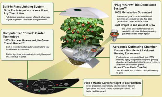 aerogarden2