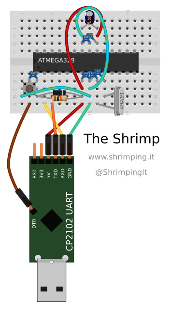 shrimp_breadboard