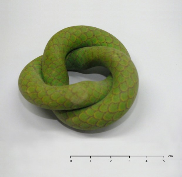 moibus_snake